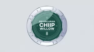 Willow Luncurkan Chip Terbaru: Teknologi Mutakhir untuk Era Digital